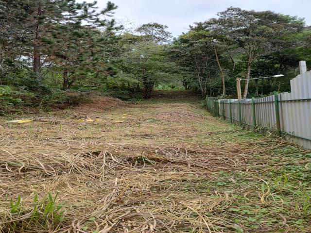 #19 - Área para Venda em Nova Friburgo - RJ