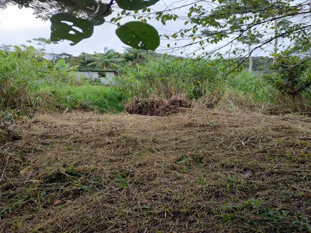 #19 - Área para Venda em Nova Friburgo - RJ