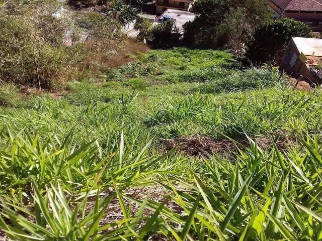 #22 - Área para Venda em Nova Friburgo - RJ