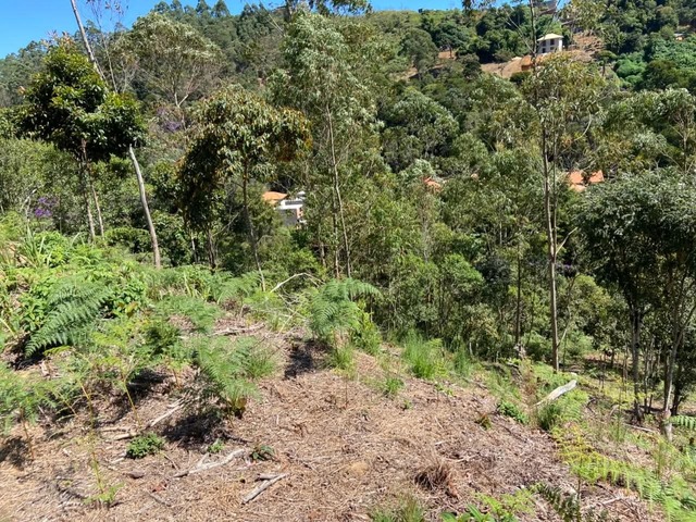 #29 - Área para Venda em Nova Friburgo - RJ