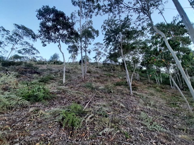  para  em  - 5